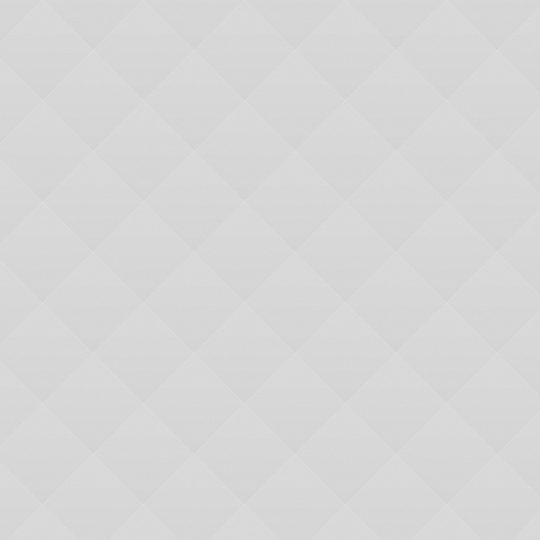 Bear with Evening Dress